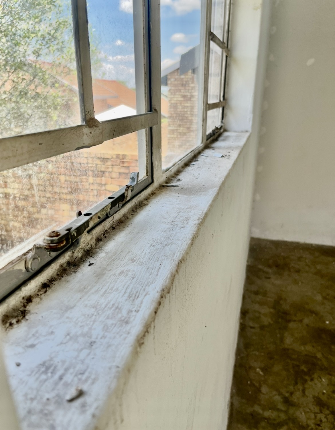 Window & Trim Refinishing